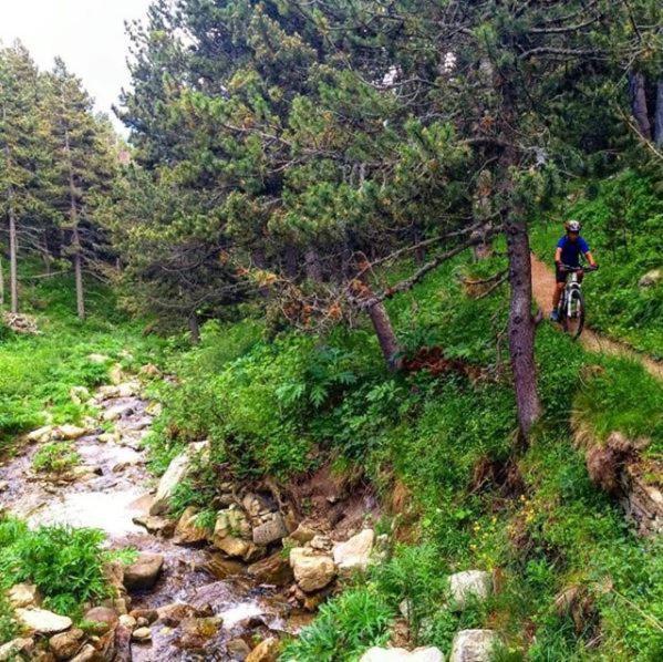 La Pradella Bolquere Pyrenees 2000 Apartment ภายนอก รูปภาพ
