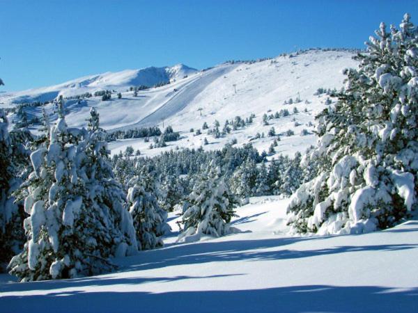 La Pradella Bolquere Pyrenees 2000 Apartment ภายนอก รูปภาพ